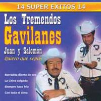 Los Tremendos Gavilanes - 14 Super Exitos