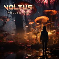 Voltus - Follow Me
