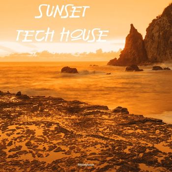 Various Artists - Sunset Tech House