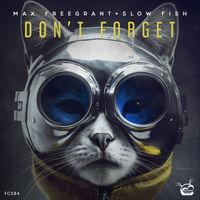 Max Freegrant & Slow Fish - Don't Forget