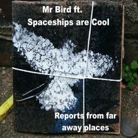 Mr Bird - Reports from far away places