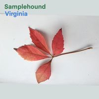 Samplehound - Virginia