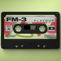 FM-3 - Flavour