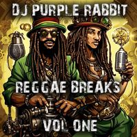 Dj Purple Rabbit - Acid Breaks Vol one