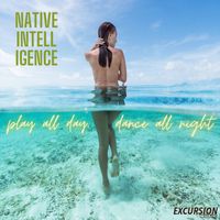 Native Intelligence - Play All Day, Dance All Night