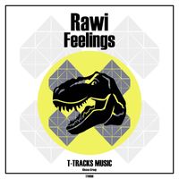 Rawi - Feelings