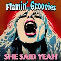 Flamin' Groovies - She Said Yeah