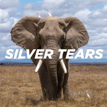 Pale Blue - Silver Tears