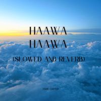 John Carter - Haawa Haawa (Slowed & Reverb)