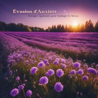 Musique Zen Garden - Évasion d'Anxiété: Musique Apaisante pour Soulager le Stress