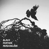 Black Feather Meadowlark - Graveyards