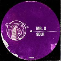 SDLR - MR X