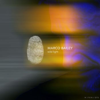 Marco Bailey - Wild Light