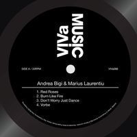 Andrea Bigi & Marius Laurentiu - Red Roses / Burn Like Fire / Don't Worry Just Dance / Vorbe