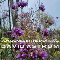 David Astrom - Joy Comes in the Morning