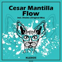 Cesar Mantilla - Flow