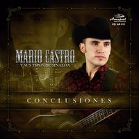 Mario Castro Y Sus Tipos De Sinaloa - Conclusiones
