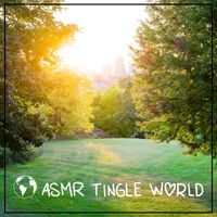 ASMR Tingle World - ASMR Sensual Mic Scratching and Touching with Slow Strokes