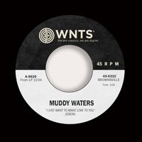 Muddy Waters - I Just Want to Make Love to You