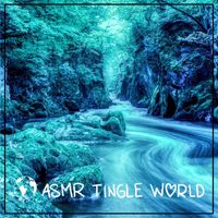 ASMR Tingle World - ASMR Mic Scratching and Rubbing with Long Fingernails