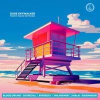 Dude Skywalker - Miami Indie Remixes