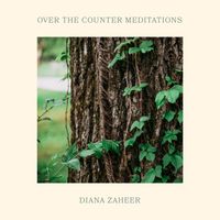 Diana Zaheer - Over The Counter Meditations