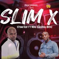 Stingray - Slim X