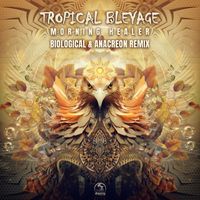 Tropical Bleyage - Morning Healer (Biological & Anacreon Remix)
