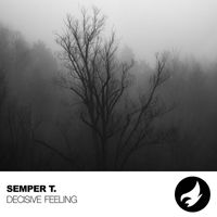 Semper T. - Decisive Feeling