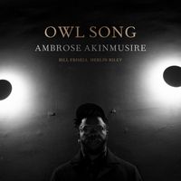 Ambrose Akinmusire - Owl Song 1 (feat. Bill Frisell & Herlin Riley)