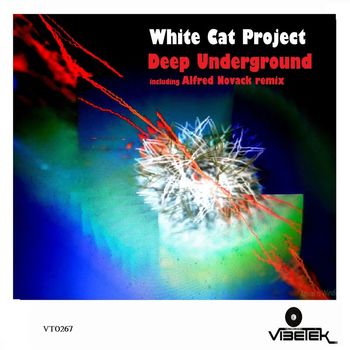 White Cat Project - Deep Underground