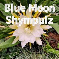 Shympulz - Blue Moon