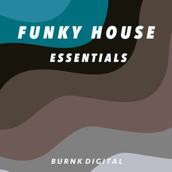Various Artists - Funky House Essentials 5