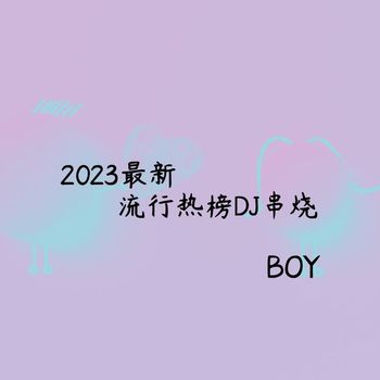 Boy - 2023最新流行热榜DJ串烧