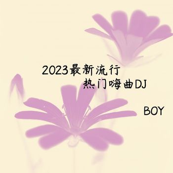 Boy - 2023最新流行热门嗨曲DJ