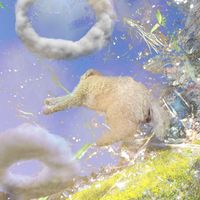 anthï - la deisi moviendo la cola y soñando algo feliz