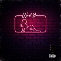 Terrick - Want You (Explicit)
