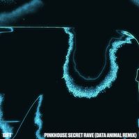 Gift - Pinkhouse Secret Rave (Data Animal Remix)