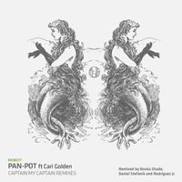 Pan-Pot - Captain My Captain Remixes