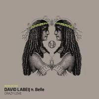 David Labeij - Crazy Love