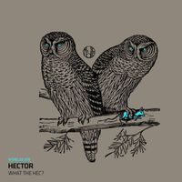 Hector - What The Hec?