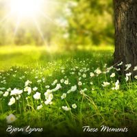 Bjørn Lynne - These Moments