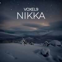 Voxel9 - Nikka