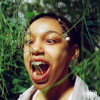 ACACIA - Inertia (Explicit)