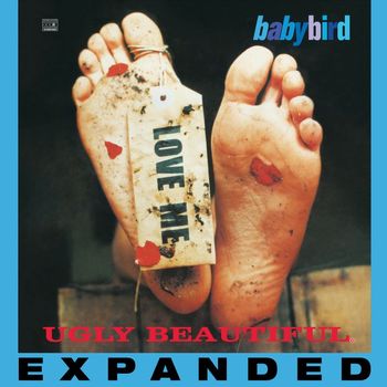 Babybird - Ugly Beautiful (Expanded)