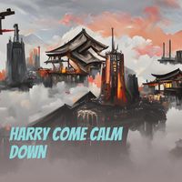 DJ Silva - Harry Come Calm Down