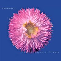 Deepspace - The Architecture of Flowers