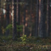 Lazarus Moment - Oak