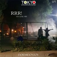 Dormidontov - RRR! (Sea Soul Mix)