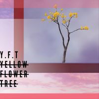 Jacqueline - Yellow Flower Tree